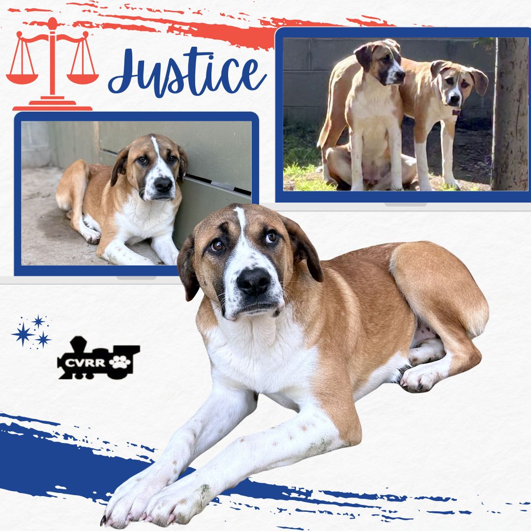 Justice Image