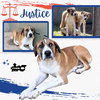 Justice