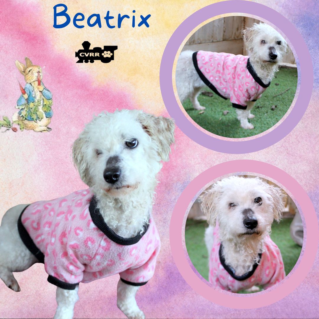 Beatrix Image