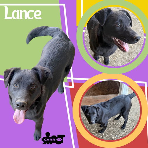 Lance
