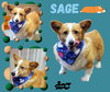 Sage (Ritzy)