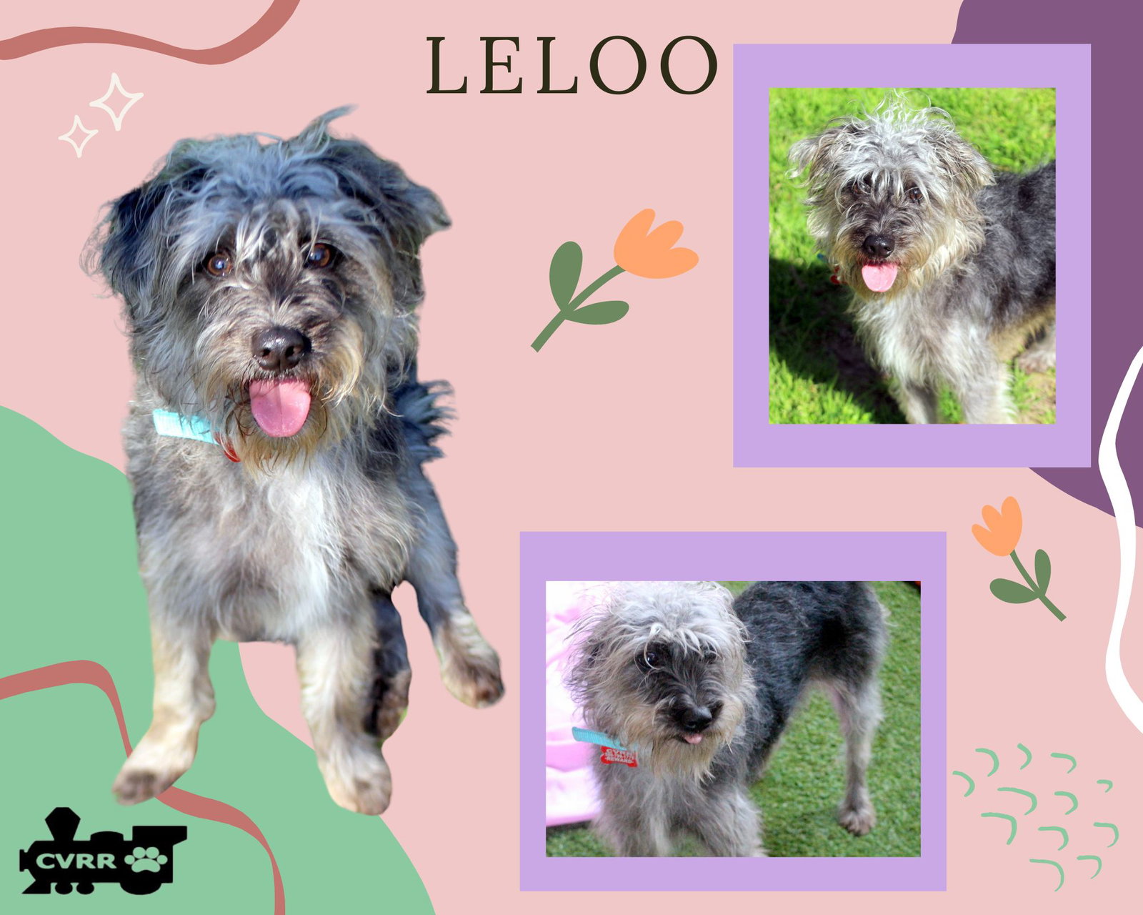 Leloo (Ritzy) Image