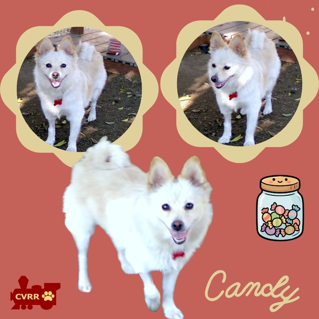 Candy Image