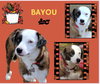 Bayou