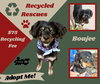 Boujee (Recycle)