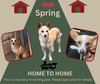 *Spring* HOME TO HOME