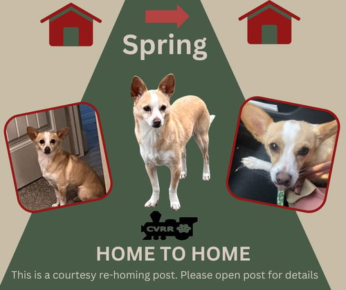 *Spring* HOME TO HOME