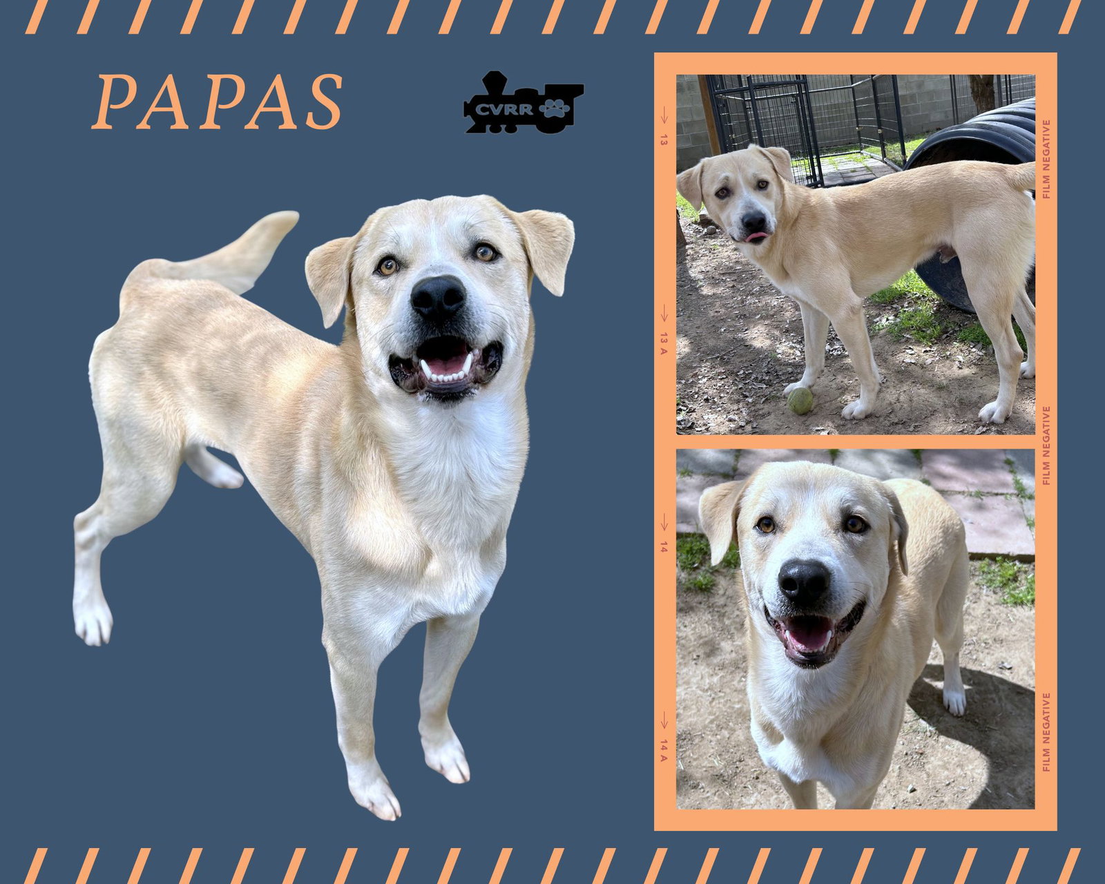 Papas