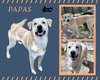 Papas