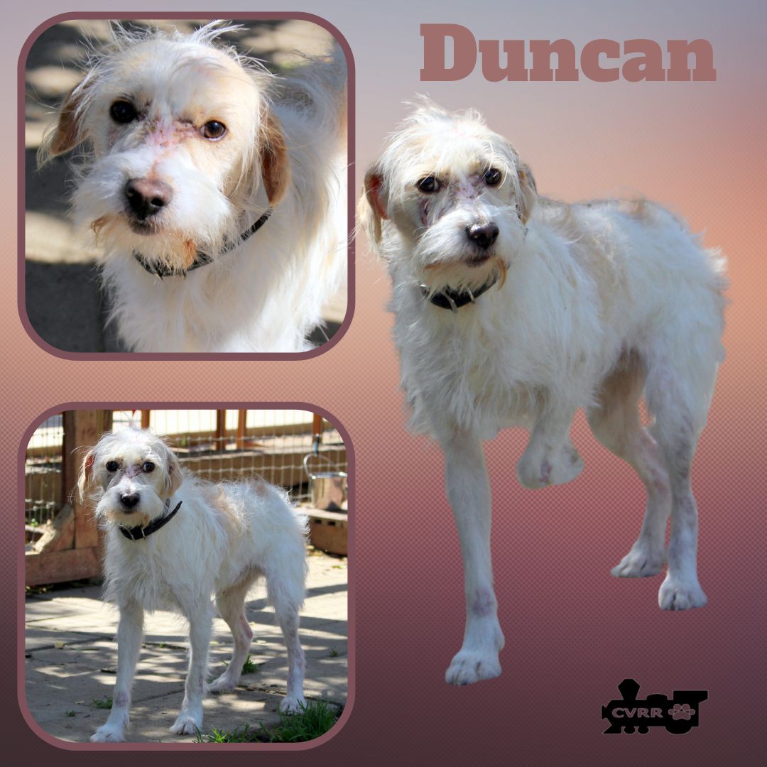 Duncan Image