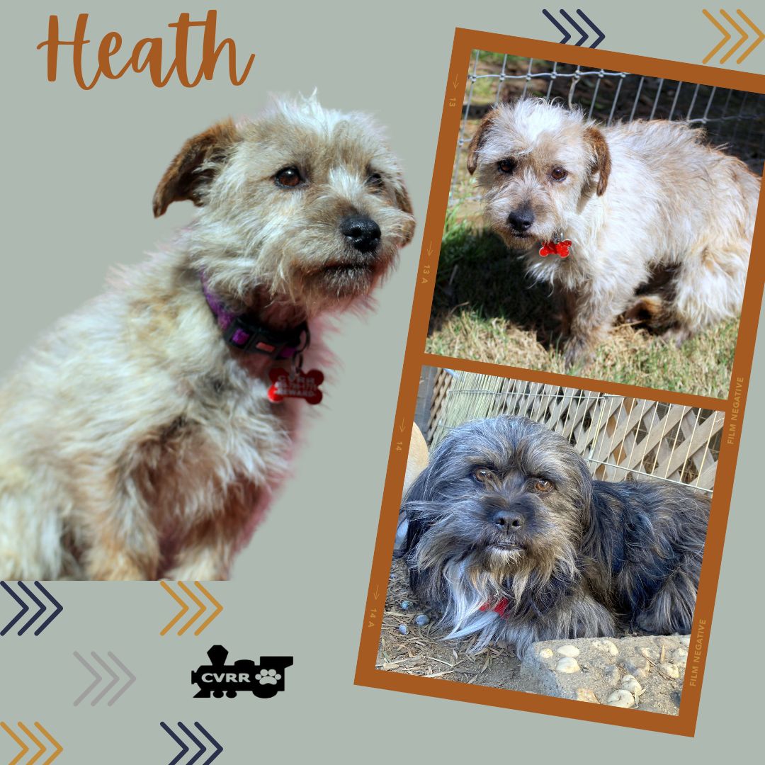 Heath Image