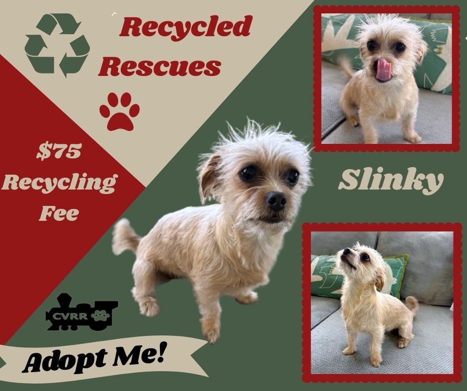 Slinky (Recycle) Image