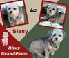 Sissy Ritz Granpaws