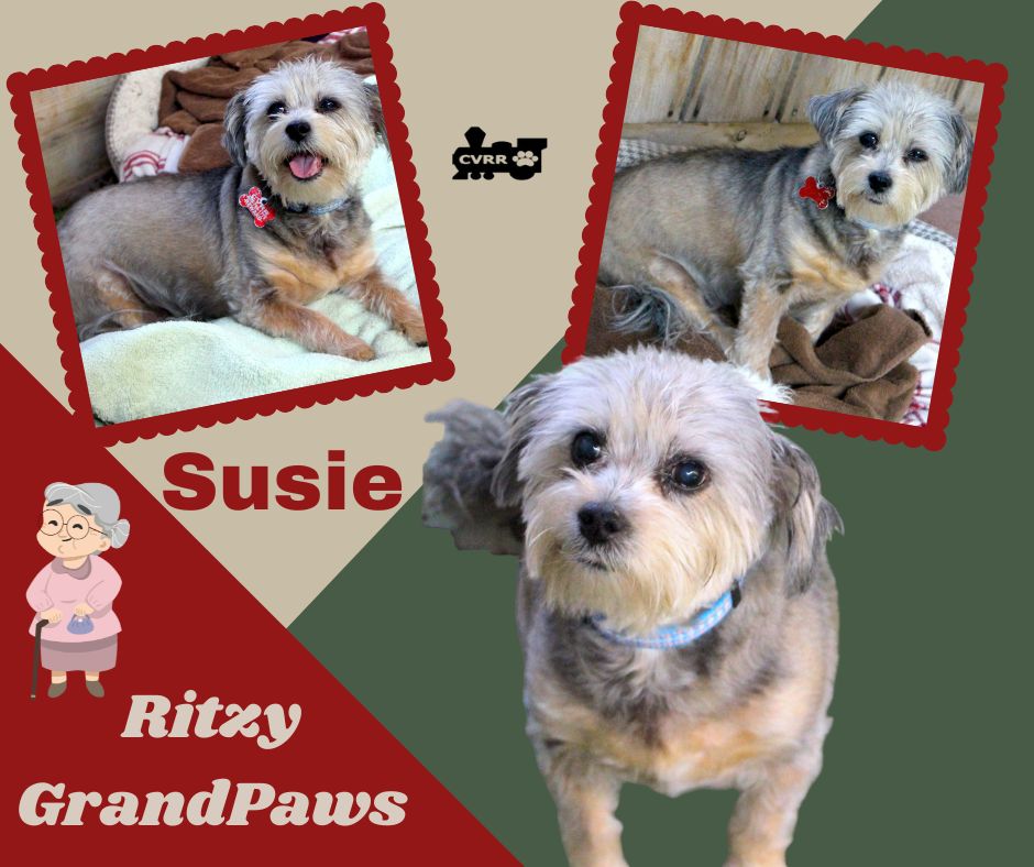 Suzie Ritzy Grandpaws Image