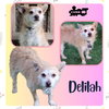 Delilah