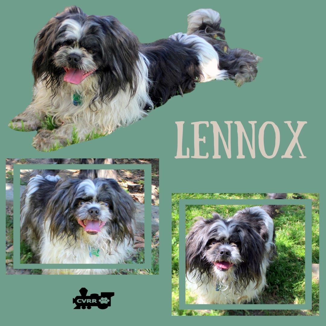 Lennox (Ritzy) Image