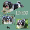 Lennox (Ritzy)