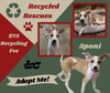 Aponi (Recycle)