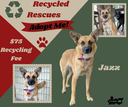 Jazz (Recycle)