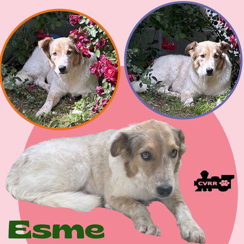 Esme