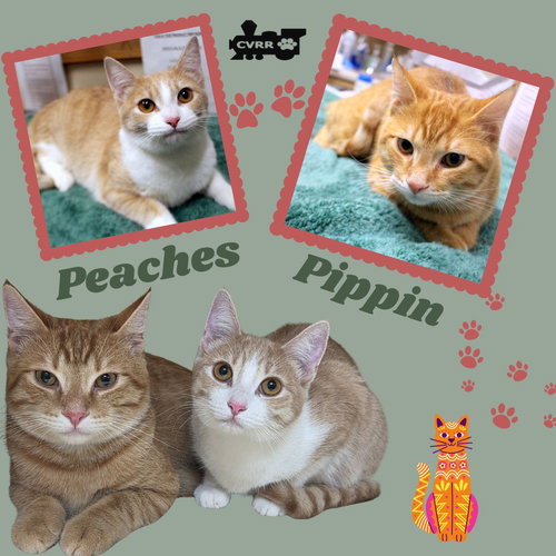 Peaches and Pippin