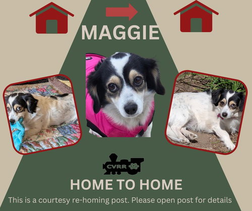 *Maggie* HOME TO HOME