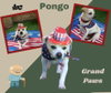 Pongo (GrandPaws)
