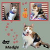 Madge (Cat)