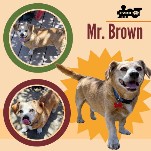 Mr. Brown