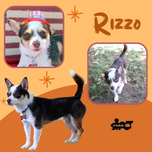 Rizzo