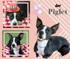 Piglet