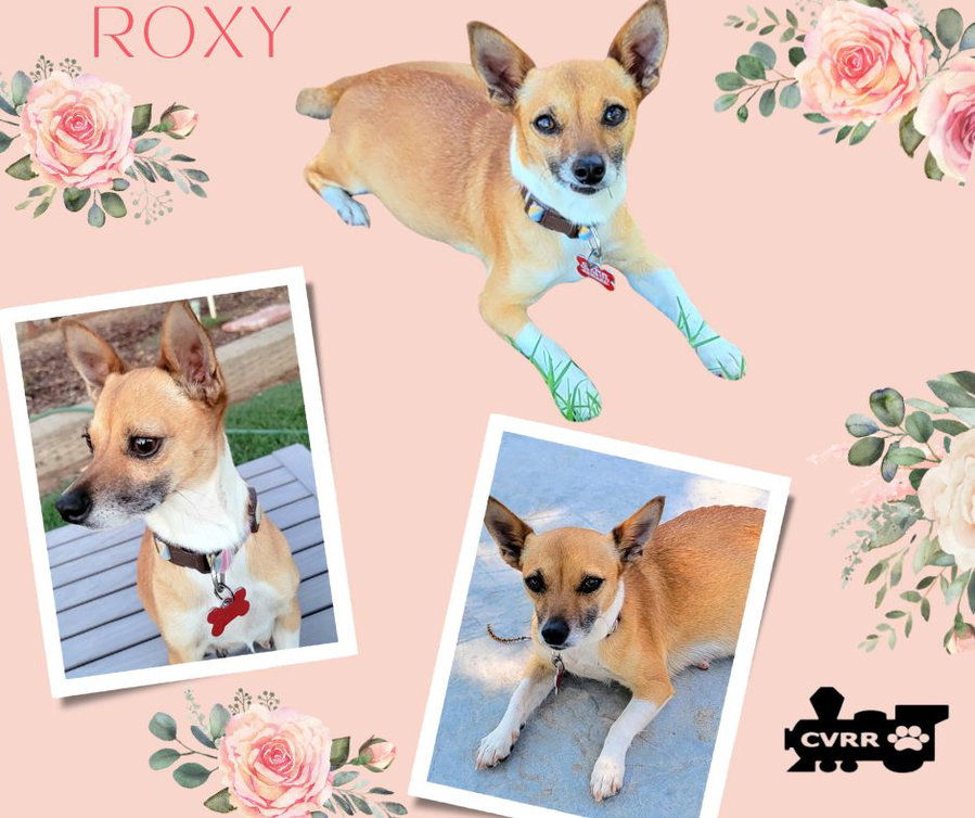 Roxy