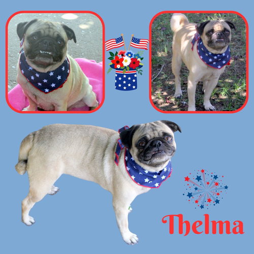 Thelma (Ritzy)