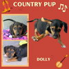 Dolly (Puppy)
