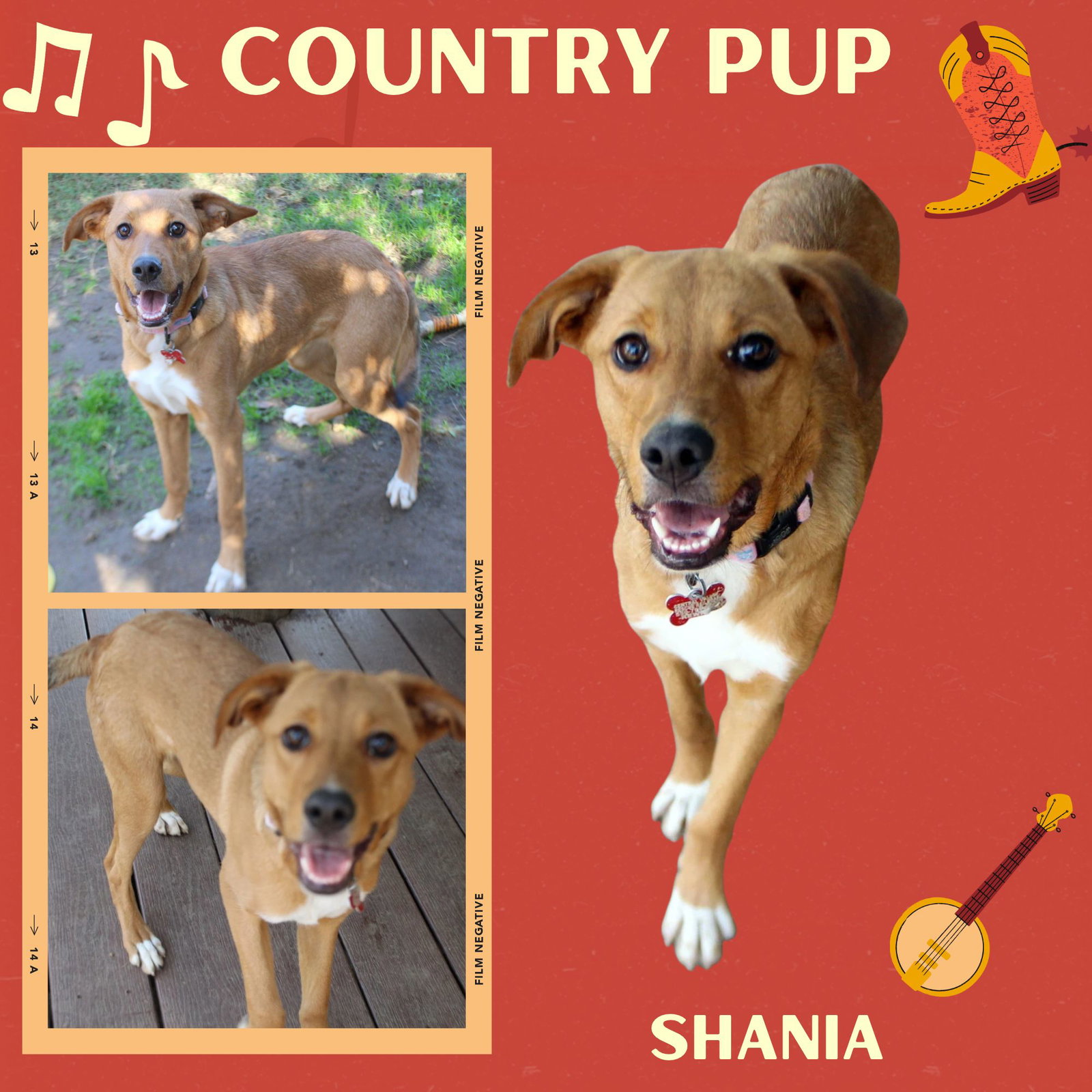 Shania