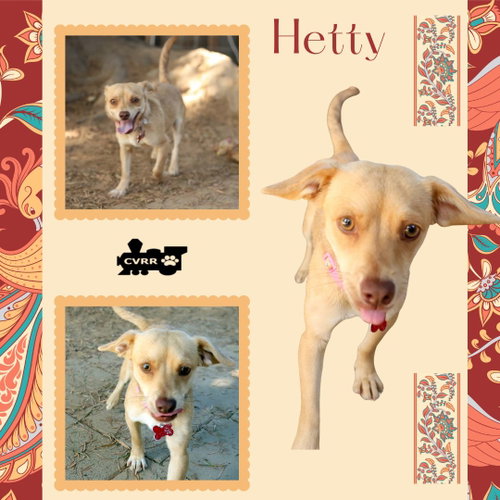 Hetty
