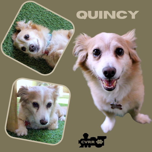 Quincy