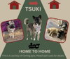 *Tsuki* HOME TO HOME