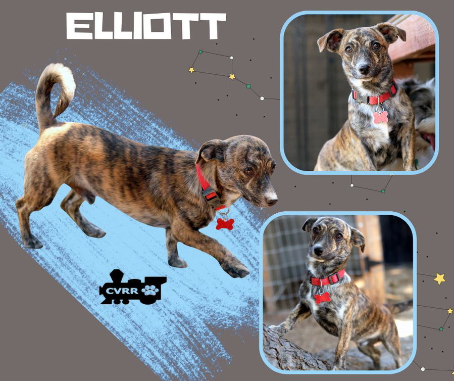 Elliott