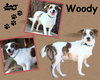 Woody
