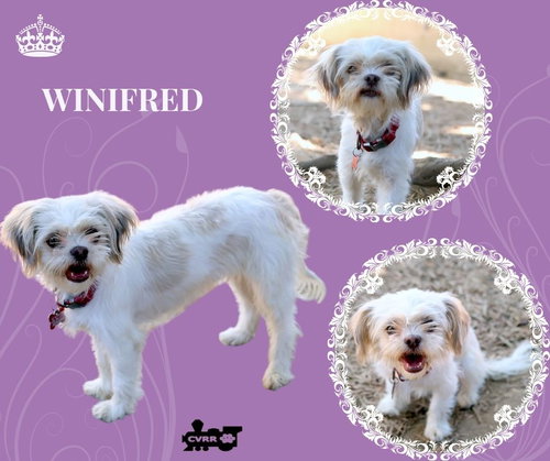 Winifred