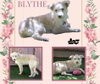 Blythe