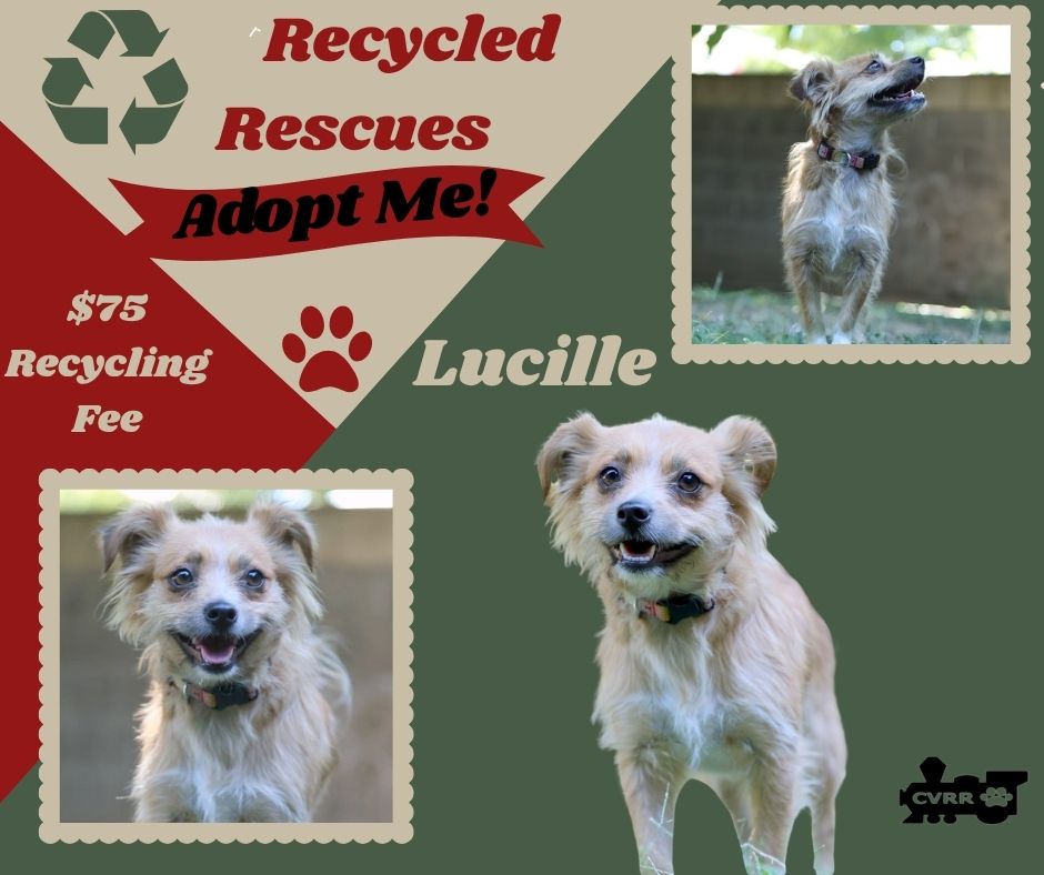 Lucille (Recycle)