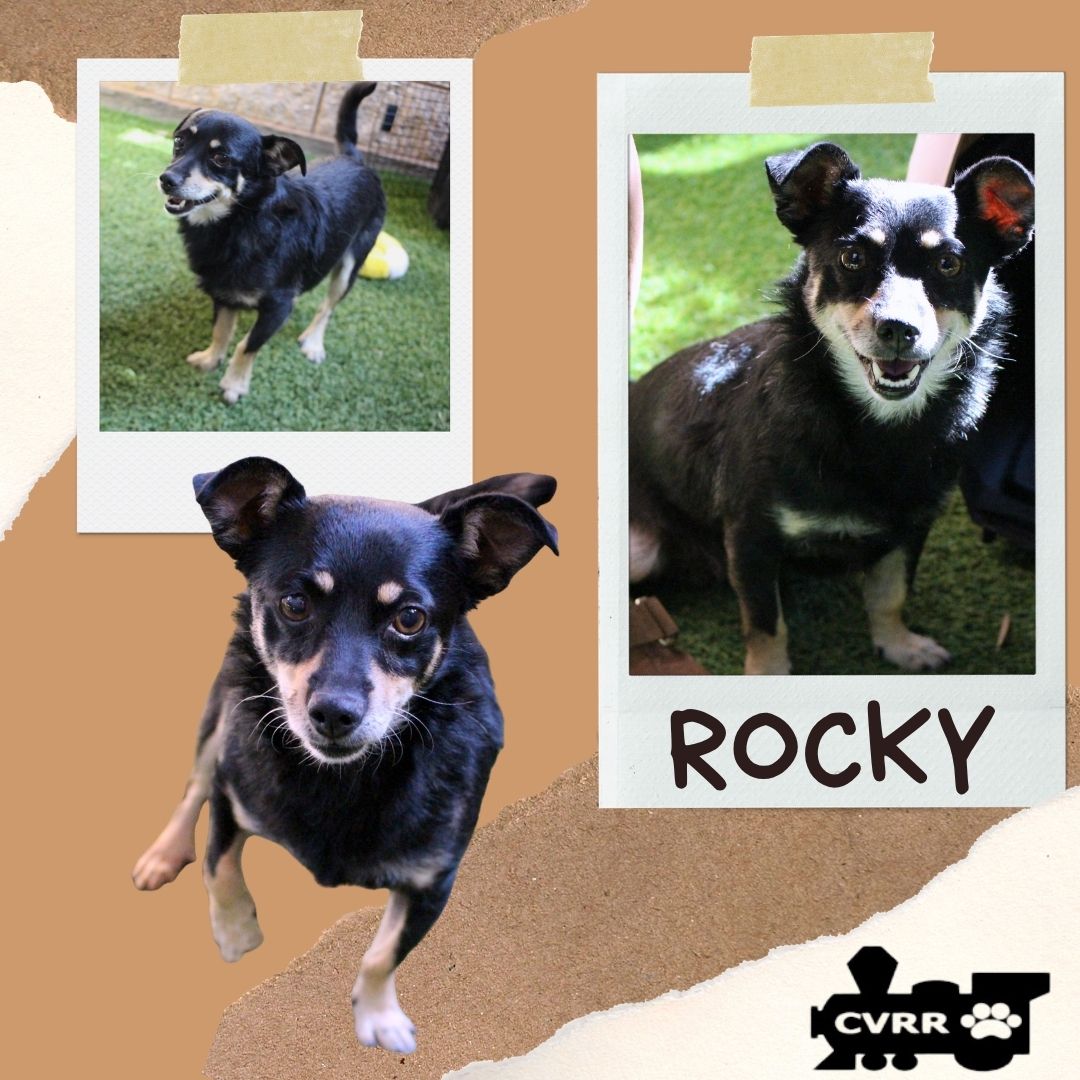 Rocky