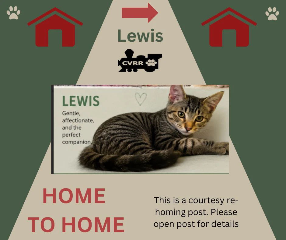 Lewis Home  Home