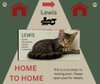 Lewis *Home 2 Home*