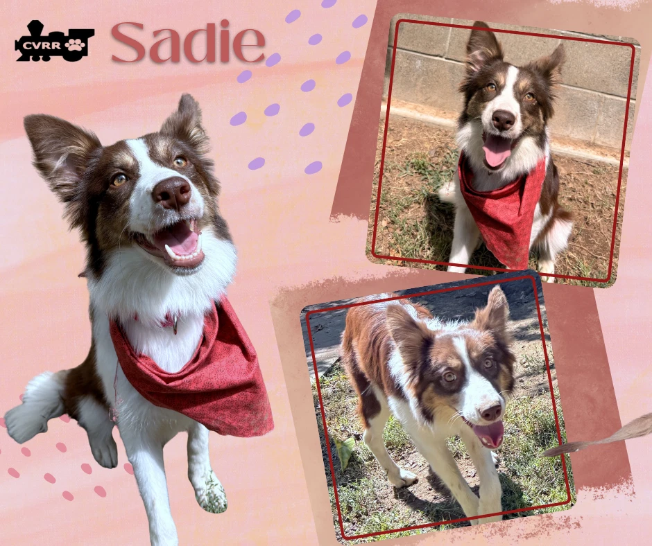 Sadie Ritzy