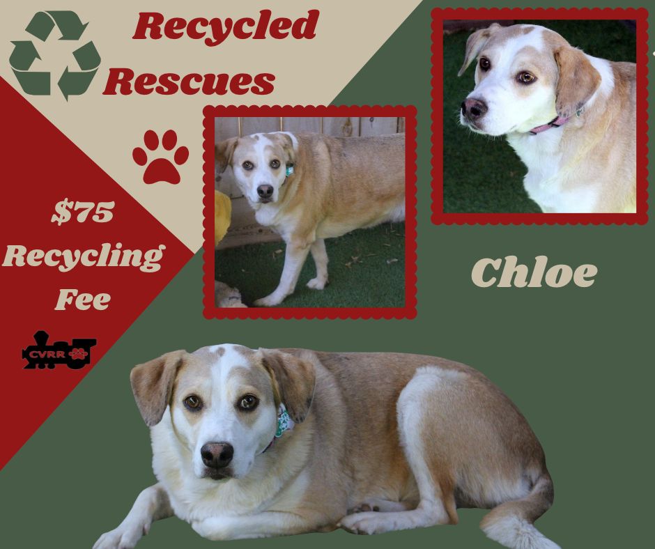 Chloe (Recycle), Retriever