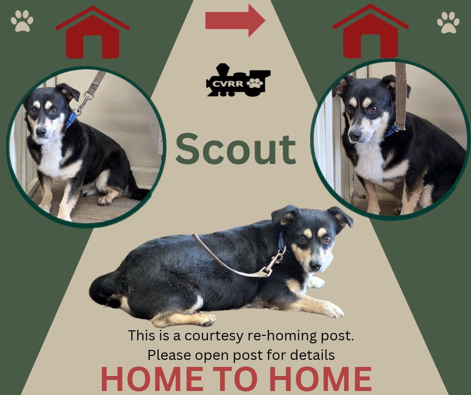 *Home 2 Home* Scout