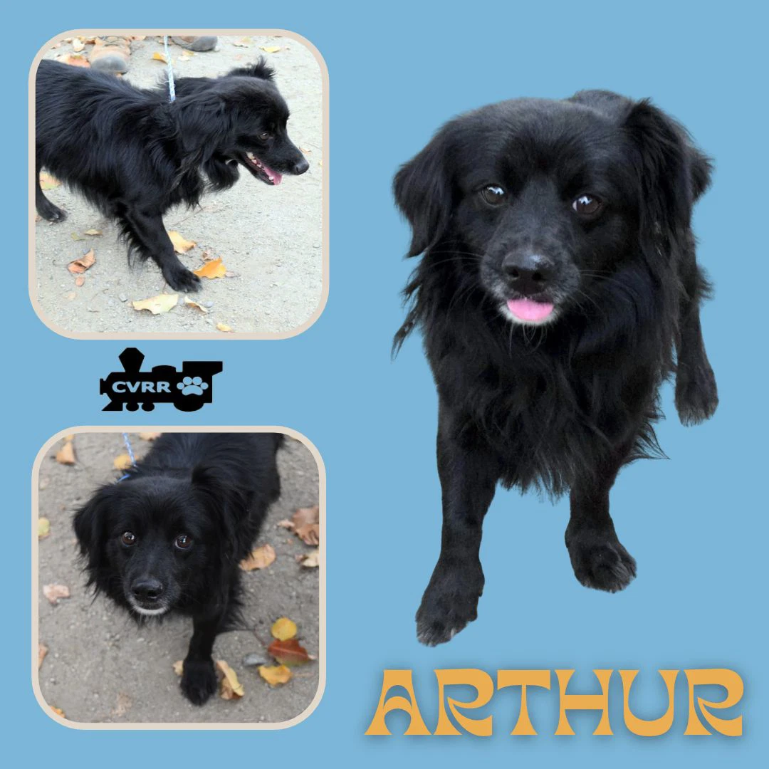 Arthur